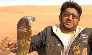 Total Dhamaal Box Office Day 5: Jungle Comedy Earns Rs 81 cr, Expect Rs 100 cr by This Weekend