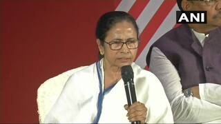 Mamata Hits Back at PM Modi, Says 'Mad-dy Babu' Becomes 'Chaiwala During Polls, Rafale Wala After'