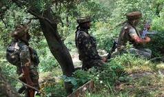 Chhattisgarh Naxal Encounter: Bodies of 17 Security Personnel Recovered, Say Police
