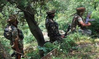 Chhattisgarh Naxal Encounter: Bodies of 17 Security Personnel Recovered, Say Police