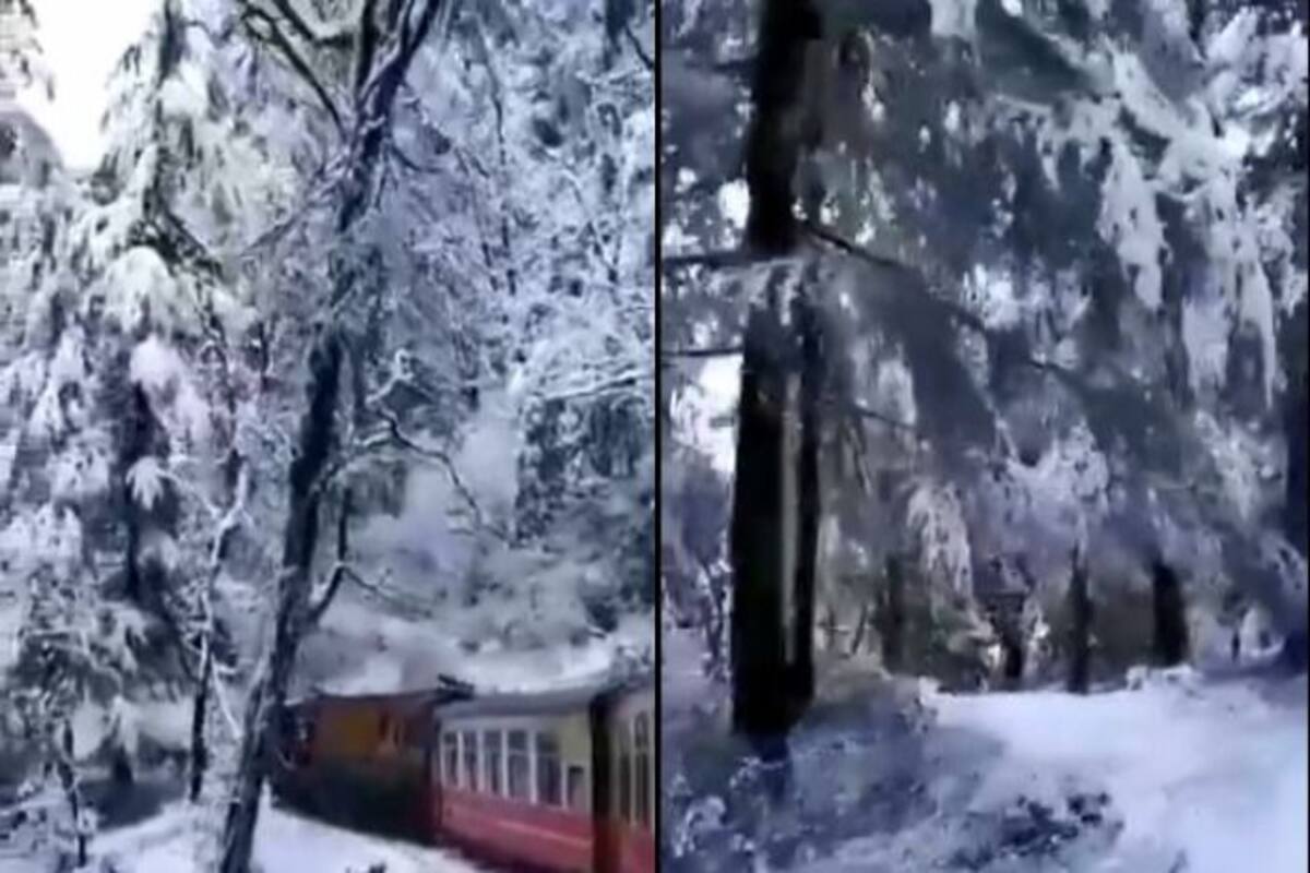 Kalka Shimla Toy Train Ride After Snowfall Feels Like Meandering