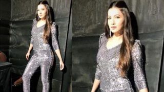 Bigg Boss Seven Winner Gauahar Khan's Latest Instagram Picture in Grey Shimmery Outfit is Proof That She is 'Performer Forever'