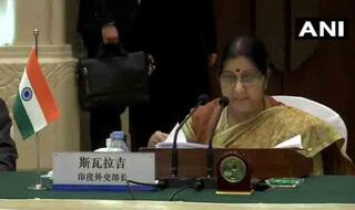 In China, Sushma Swaraj Defends IAF Strike, Says India Took Pre-emptive Action as Pakistan Refused to Act