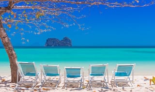 How to Enjoy Responsibly on a Beach And Save Marine Life