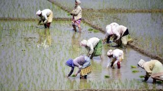 Farm Bills Row: Not Calling Bills Anti-farmer, Says Harsimrat Kaur; SAD to Wait For Fate of Bills in RS Before Taking Call on Staying in NDA | Top Points