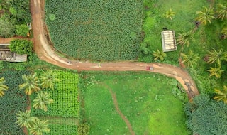 Newly Discovered Eco-Trails in Karnataka Are a Trekker's Delight