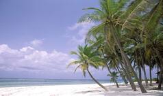 Why Head to Kavaratti Island For Your Next Vacation