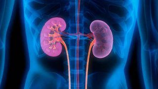 World Kidney Day 2019: 4 most common kidney problems you need to be aware of