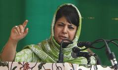 J&K: Mehbooba Mufti Urges Opposition to Unite Against Article 35A, Says 'Ready to Sacrifice Life'