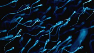 Air Pollution Can Reduce Sperm Production And Cause Other Dangerous Health Problems