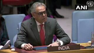 India Hails UNSC's Move Against Terror Funding, Says Some States Will Continue to Justify Inactions