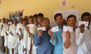 Lok Sabha Elections 2019: Voters in Telangana, HP, Odisha Most Satisfied With Their CMs
