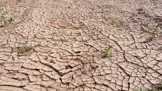 Rajasthan Government Declares 1,388 Villages of Four Districts Drought-affected