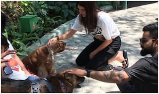 विराट-अनुष्का ने 'बड्डी' और 'पीकू' को लगाया गले, IPL में बैंगलोर की होगी 'बल्ले-बल्ले'!