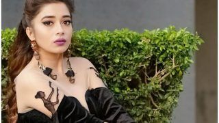 Television Hottie Tinaa Dattaa Opens up About Daayan Co-Star Mohit Malhotra Inappropriately Touching Her, Team Feels he Goes Overboard With Intimate Scenes