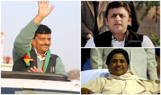 यूपी: बुआ-भतीजे के सामने चाचा का नया गठबंधन, कई दलों के साथ बनाया डेमोक्रेटिक अलायंस
