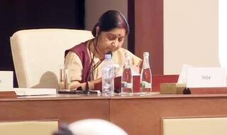Humanity Can be Saved Only if States Stop Harbouring Terrorists: Sushma Swaraj at OIC