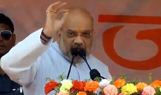 Article 370 Will be Withdrawn From J&K if BJP Wins Again: Amit Shah
