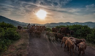 Top 3 Places to Visit on Your Trip to Araku Valley