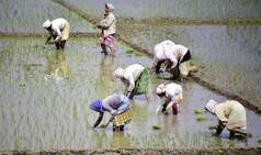 Farmers Given Raw Deal in This Election: Rashtriya Kisan Manch President