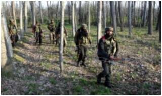 Infiltration in J&K Down by 43% Since Balakot Air Strike: Centre