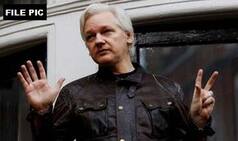 Sweden Must Get Priority on WikiLeaks Founder Julian Assange, Says UK MPs
