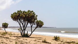 Top Beaches of Daman And Diu That Make For a Tranquil Getaway Top Beaches of Daman And Diu That Make For a Tranquil Getaway