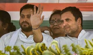 Rahul Gandhi Says Salaried Middle Class Won't Foot Bill For NYAY Scheme