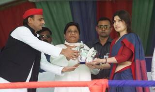 Mayawati Says LS Polls Will See End of Those Who Chant 'Namo, Namo'