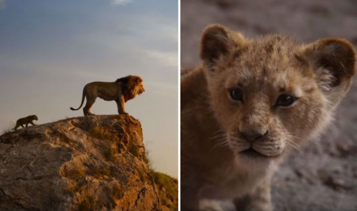 The Lion King Trailer Will Give You Nostalgic Vibes The Lion King