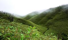 Dimapur: A Gateway to Nagaland