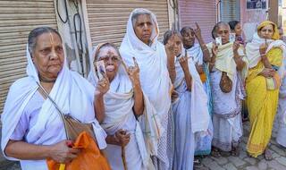 Uttar Pradesh: Overall Polling Percentage of 24.31 Reported Till 11 AM