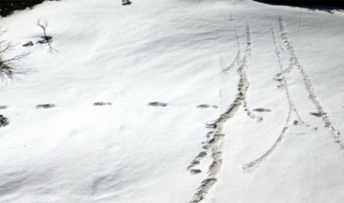 इंडियन आर्मी का दावा, हिमालय में मिले रहस्‍मयी हिममानव 'येति' के पैरों के निशान