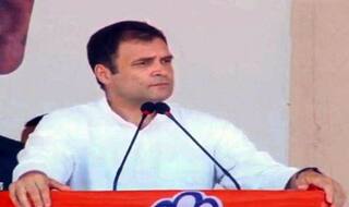 Cong Believes in Allowing People to Express Their Faith, Rahul Says From Land of Sabraimala