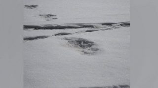 Army Claims to Have Found Yeti's 'Footprints' in Nepal, Posts Photos on Twitter