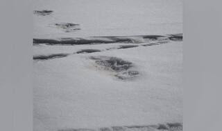 Army Claims to Have Found Yeti's 'Footprints' in Nepal, Posts Photos on Twitter