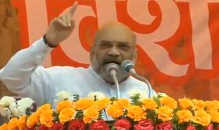 अमित शाह का EVM पर सवाल उठाने वाली पार्टियों पर हमला, पूछे छह सवाल