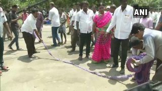 Tamil Nadu Lok Sabha Election Results 2019: DMK-Congress Sweeps 30 Out of 38 Parliamentary Seats in State