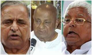 मोदी-आंधी ने काट दी वंशवाद की बेल, परिवारवाद का सूपड़ा हुआ साफ