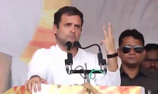 Rahul Gandhi Heading For Record-Breaking Victory Margin in Wayanad LS
