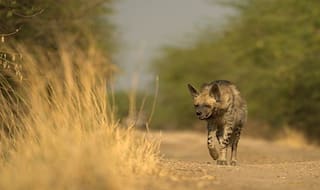 Bhavnagar: A Flourishing City Steeped in History