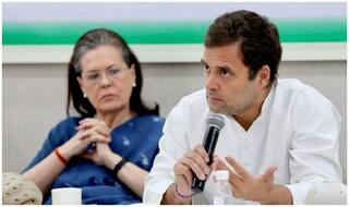 'Congress Chief Need Not be From Gandhi Family': An Insistent Rahul at CWC Meet