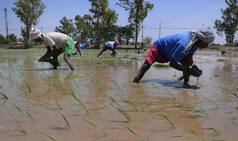 Kerala to Object to SLBC's Recovery Procedures on Farmer Loans