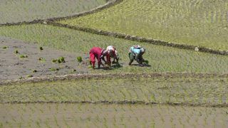 PM Kisan Samman Nidhi Yojana News Update: इस राज्य में करोड़ों की संख्या में हैं दलित लेकिन केवल 22 को मिलता है सम्मान निधि का पैसा