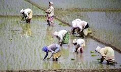 Karnataka Govt Announces Funds For Farm Loans Will be Released in One-go