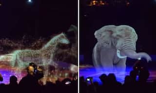 German Circus Uses Magnificent 3D Hologram Instead of Animals to Perform Acts, Video Goes Viral