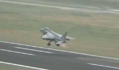 Pigeons Huge Concern For IAF, Pose Threat to Combat Aircraft at Future Rafale Base