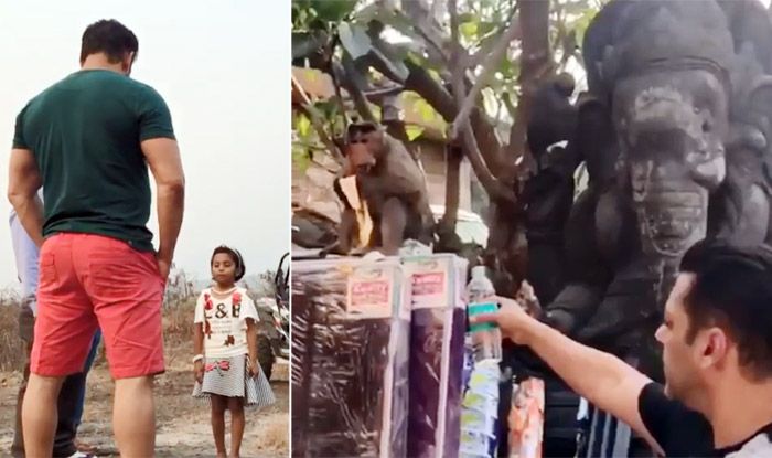 Watch: Salman Khan Feeds Monkey in The Viral Video And It Will Crack You up