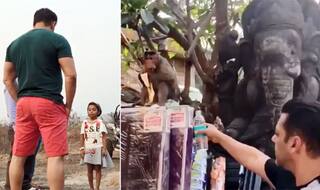 Watch: Salman Khan Feeds Monkey in The Viral Video And It Will Crack You up