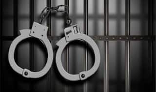 Nirbhaya Case: Tihar Jail Issues Notice to Convicts to File Mercy Plea in 7 Days